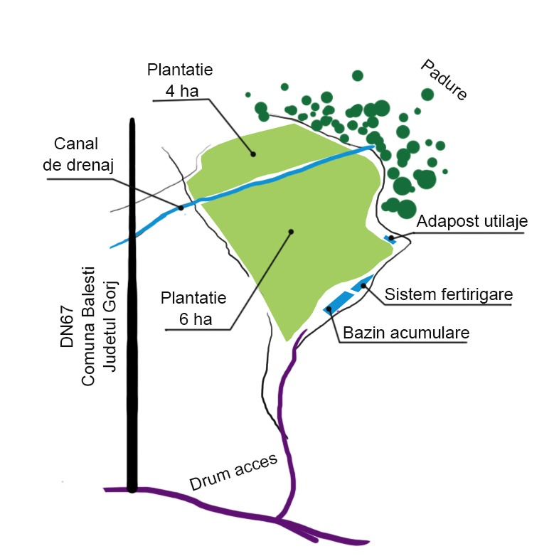 Harta Plantației Frubi